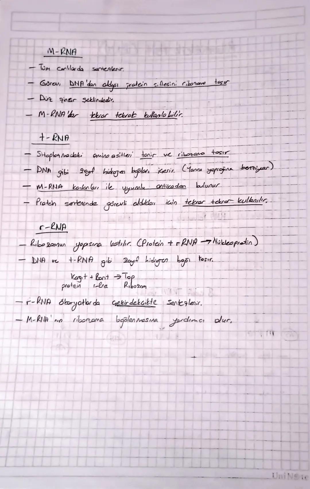 Suda
criyan vitaminler
Bvit: Eksik almırsa, Beriberi, Pellegra
Anemi
(smirsel bowk) (brise leke) (konsizlik
C : Fisk almırsa Storbut
Yağda e