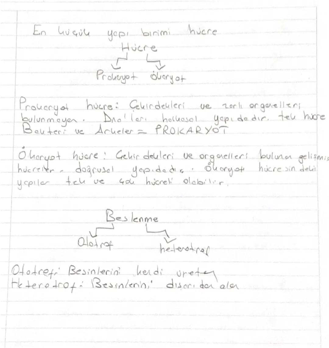 # 1. Dönem Biyoloji Konu anlatım
Biyoloji bilimine katkı sağlayer ler.
- Hastalık Etmenlerinin Bulaşma yolları
* Akşemseddin-
* Robert Hooke