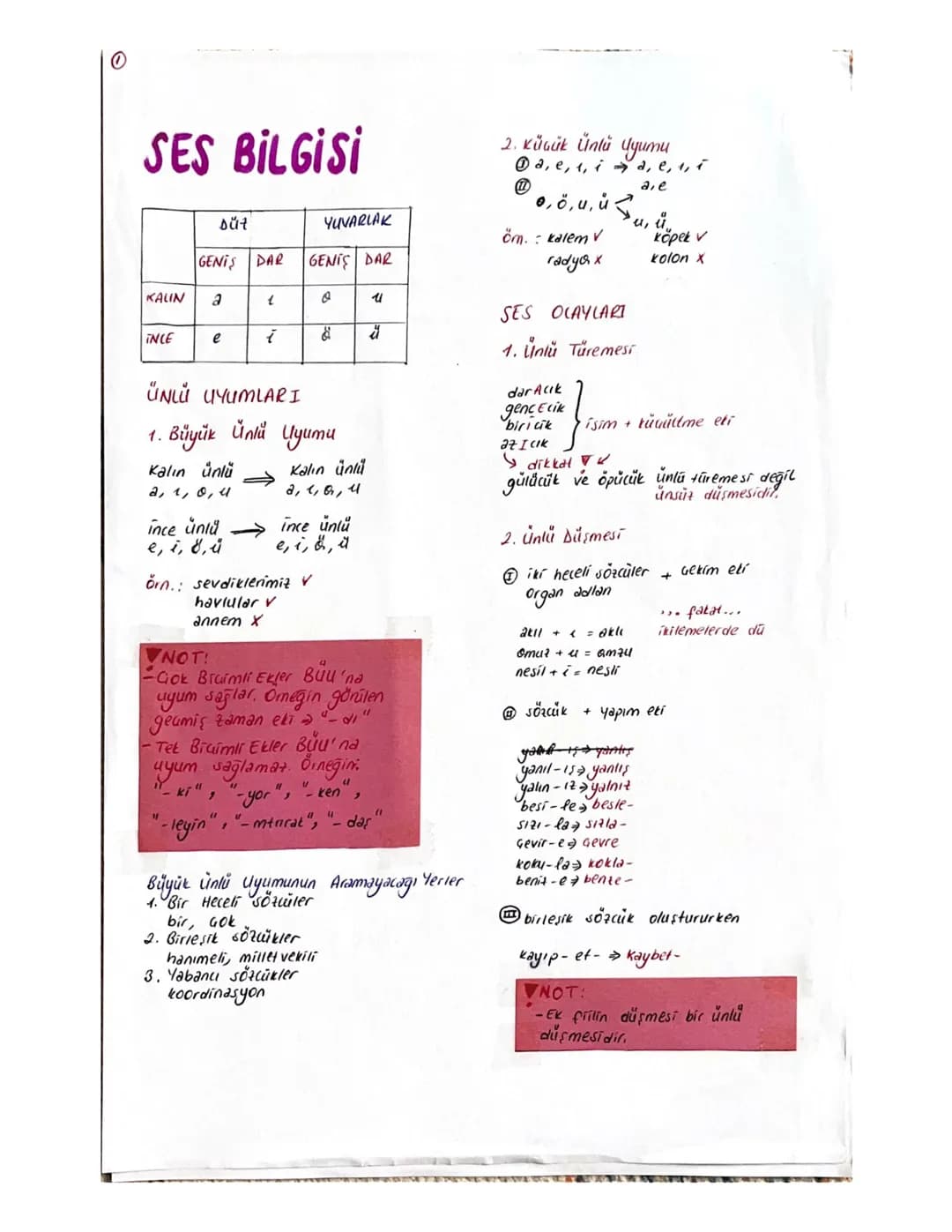 SES BİLGİSİ
2. Küçük Ünlü Uyumu
①a, e, 1, i a, e, 1,
5.
are
u, ů..
köpek v
kolon X
Düt
YUVARLAK
öm. : kalem V
GENIS DAR
GENIS DAR
radyox
KAL