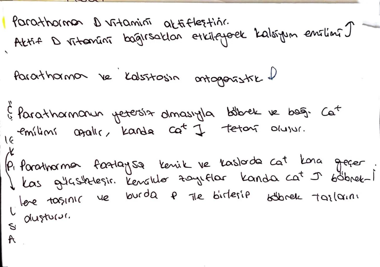 uyoran
لا
Duyu Reseptori
Ara Nora
Duy from
لا
Omurilik
motor udven
R
Efektor
терій
* Bazı omurilik reflekslen kaltsaldır.
"Beyne
Boldin
*Esn