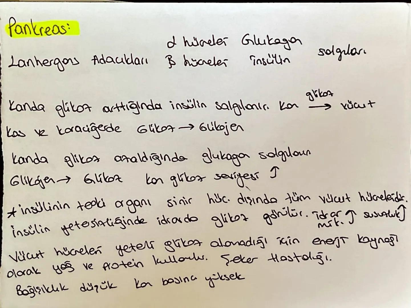 uyoran
لا
Duyu Reseptori
Ara Nora
Duy from
لا
Omurilik
motor udven
R
Efektor
терій
* Bazı omurilik reflekslen kaltsaldır.
"Beyne
Boldin
*Esn