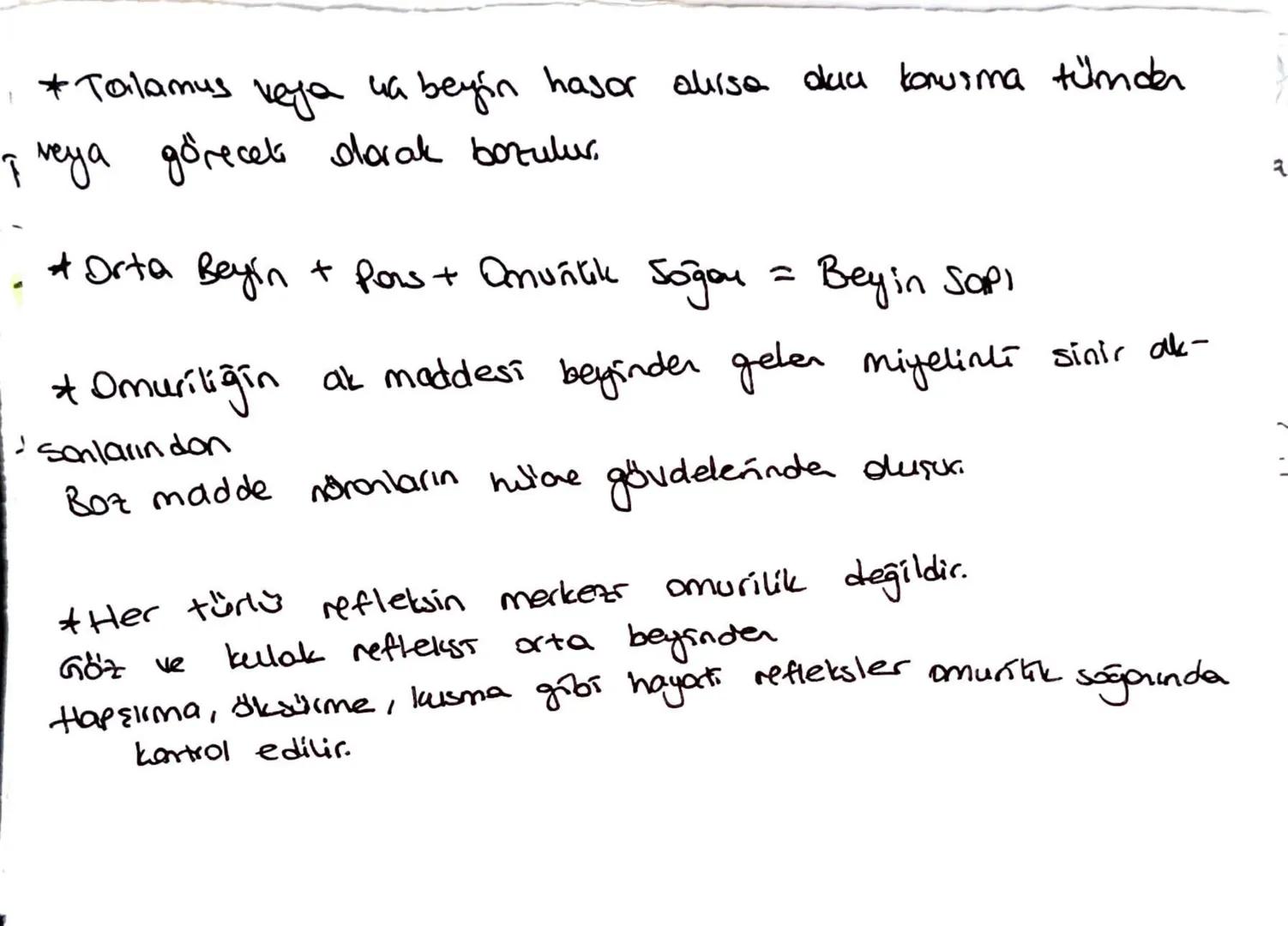 uyoran
لا
Duyu Reseptori
Ara Nora
Duy from
لا
Omurilik
motor udven
R
Efektor
терій
* Bazı omurilik reflekslen kaltsaldır.
"Beyne
Boldin
*Esn