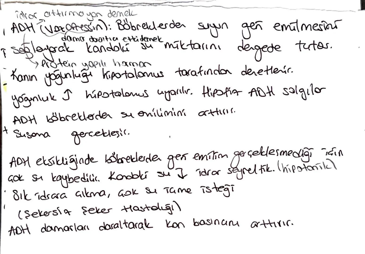 uyoran
لا
Duyu Reseptori
Ara Nora
Duy from
لا
Omurilik
motor udven
R
Efektor
терій
* Bazı omurilik reflekslen kaltsaldır.
"Beyne
Boldin
*Esn