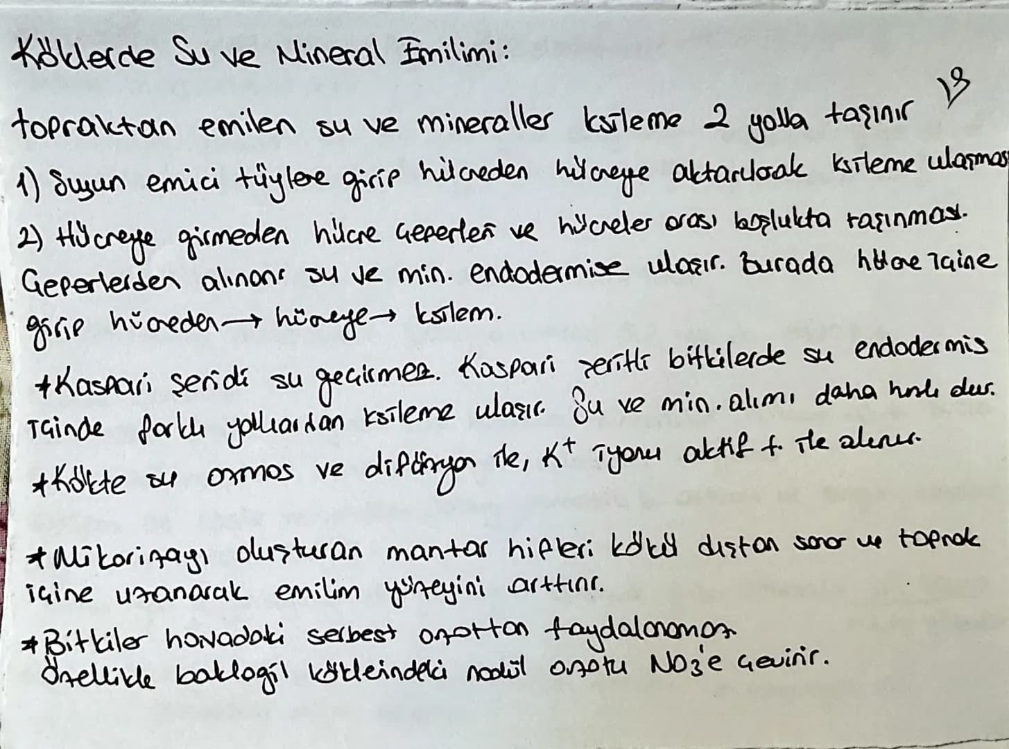 Kölderde Su ve Mineral Emilimi:
topraktan emilen su ve mineraller ksileme 2 yolla taşınır
13
1) Suyun emici tüylere girip hilceden hilareye 