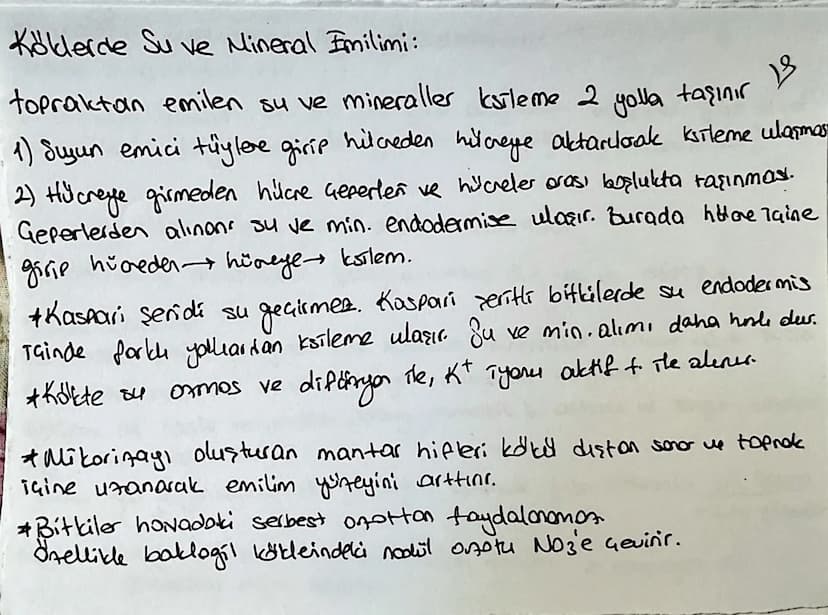Kölderde Su ve Mineral Emilimi:
topraktan emilen su ve mineraller ksileme 2 yolla taşınır
13
1) Suyun emici tüylere girip hilceden hilareye 