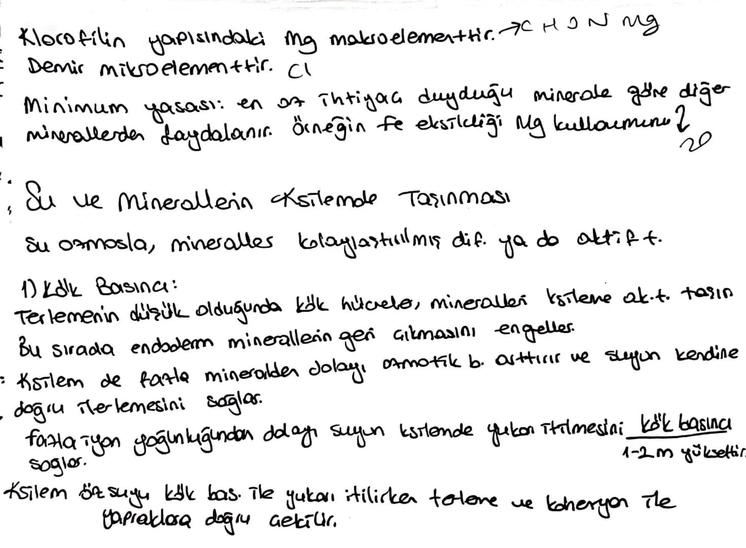 Kölderde Su ve Mineral Emilimi:
topraktan emilen su ve mineraller ksileme 2 yolla taşınır
13
1) Suyun emici tüylere girip hilceden hilareye 