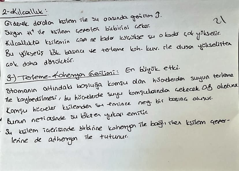 Kölderde Su ve Mineral Emilimi:
topraktan emilen su ve mineraller ksileme 2 yolla taşınır
13
1) Suyun emici tüylere girip hilceden hilareye 