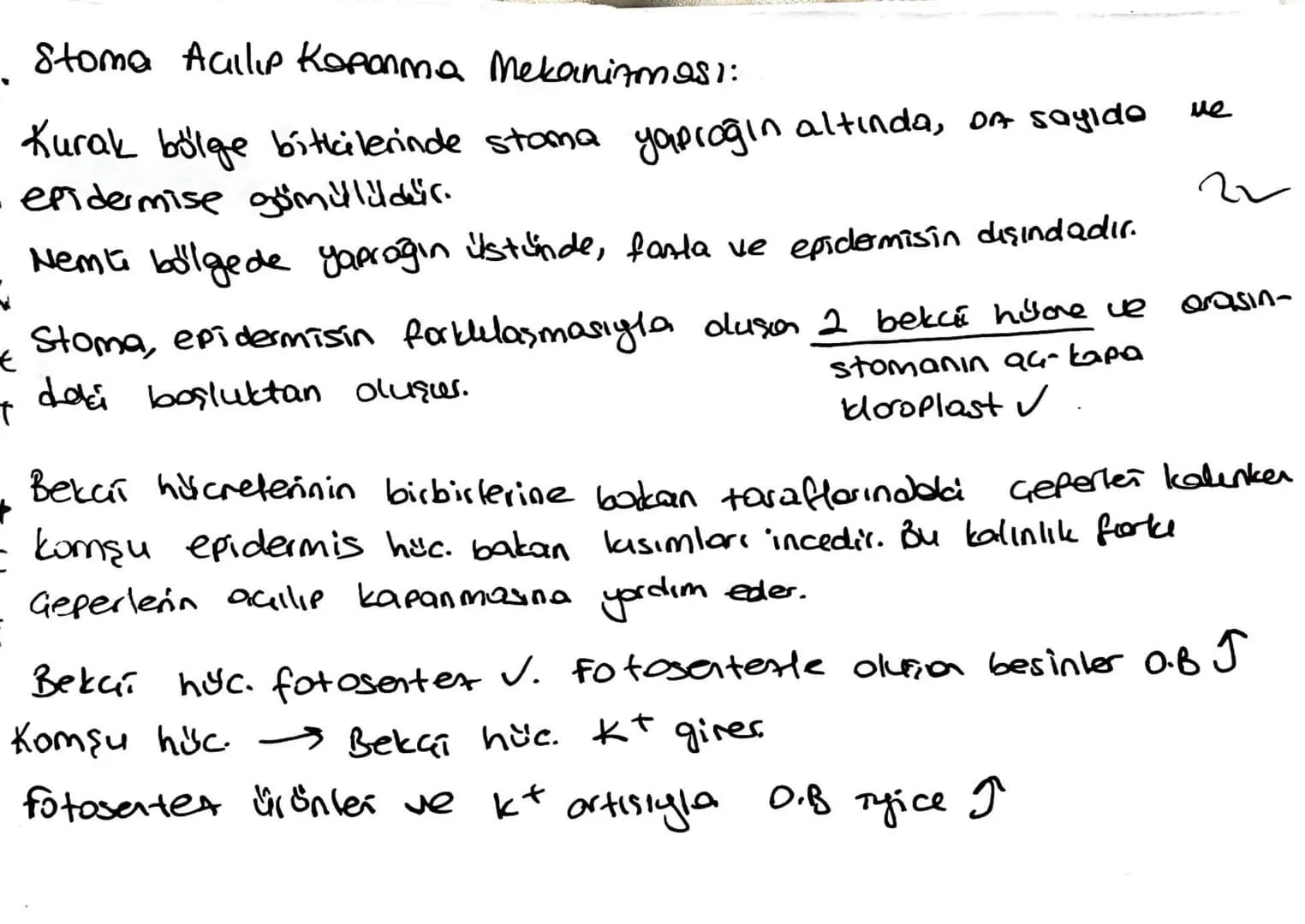 Kölderde Su ve Mineral Emilimi:
topraktan emilen su ve mineraller ksileme 2 yolla taşınır
13
1) Suyun emici tüylere girip hilceden hilareye 