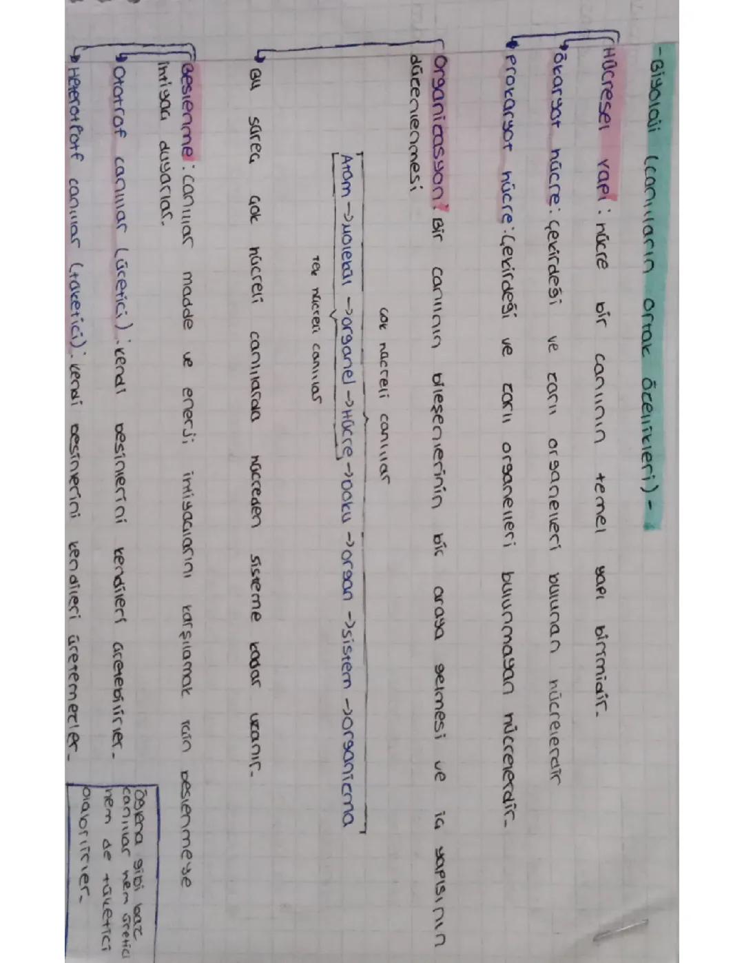 9. Sınıf biyoloji canlıların ortak özellikleri