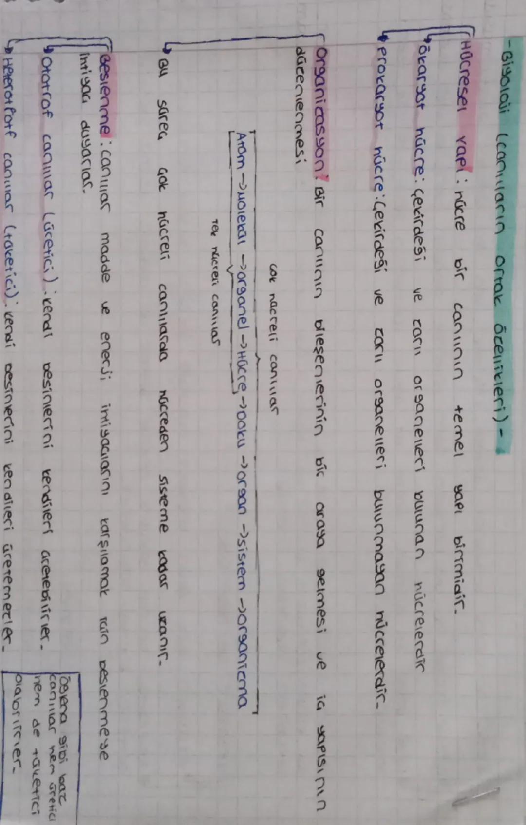 -Biyoloji (canların ortak özellikleri) -
Hücrese
vael: núcre
bir
canlının
temel
yapı birimidir.
okaryot húcre: çekirdeği
ve
ca511 organellec