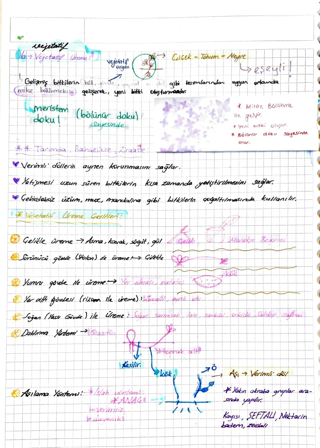 UREME (GOGALMA) ▼
→Canlının Kendine benzer yeni bir canlı oluşturmasıdır.
* Üreme carlun devamı için değil, soyun (turin - neslin) devamı iç