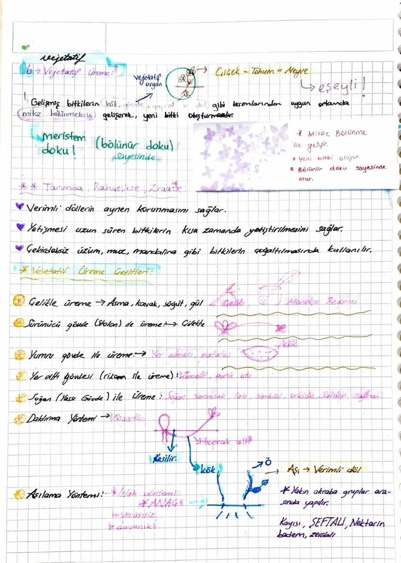 UREME (GOGALMA) ▼
→Canlının Kendine benzer yeni bir canlı oluşturmasıdır.
* Üreme carlun devamı için değil, soyun (turin - neslin) devamı iç