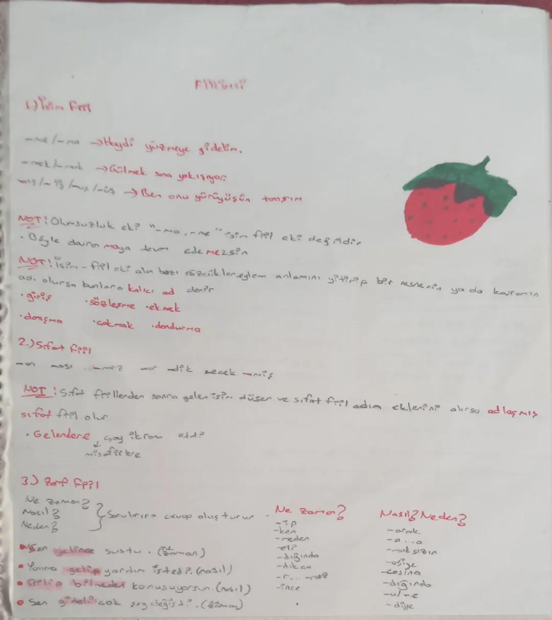 8. Sınıf Fiilimsi Konu Özeti ve Anlatım