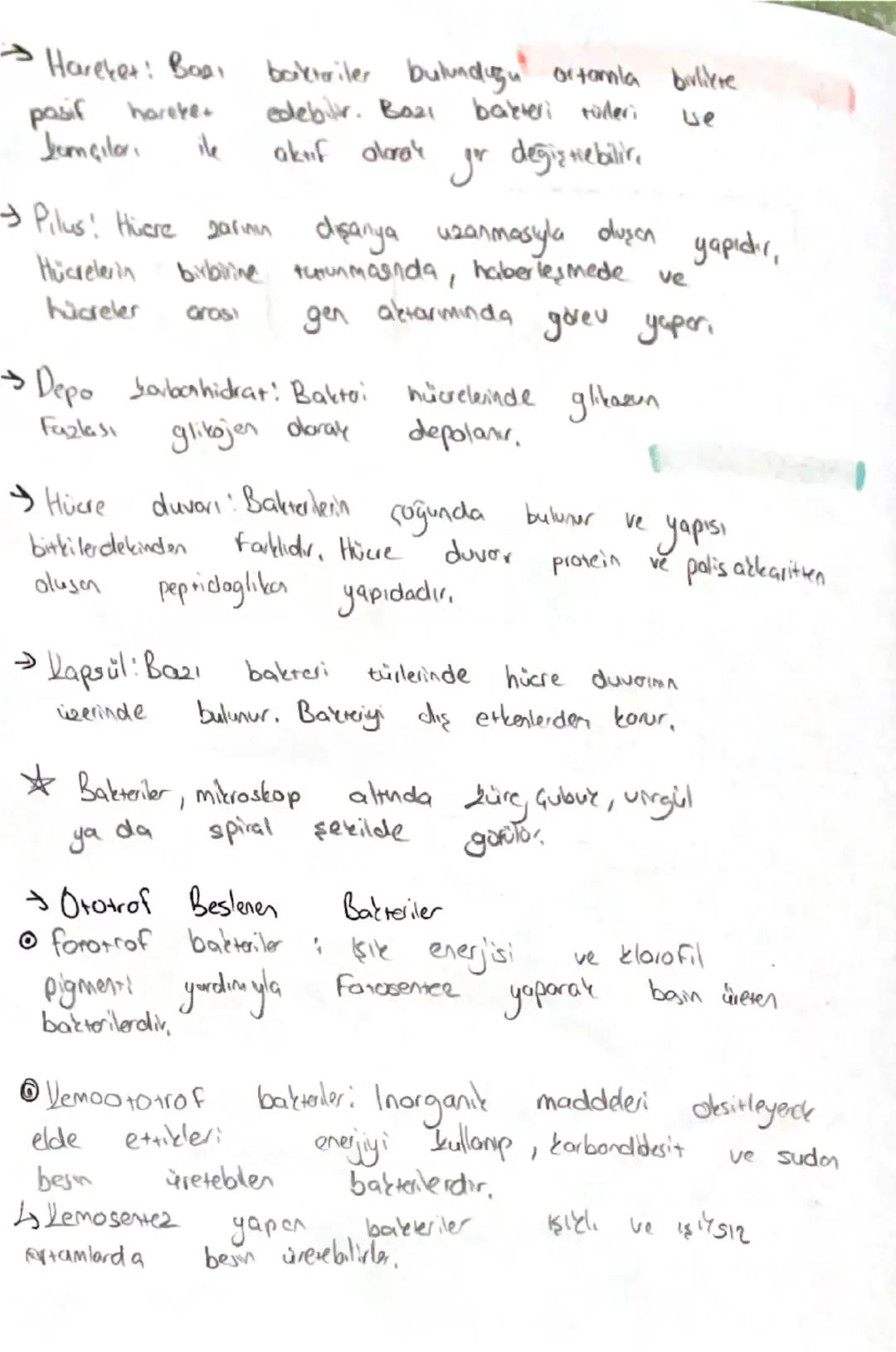 -BİYOLOJI-

Domain

Bakreler
↓
Arkeler
Okaryotlor

Prokayot
↓
Protista
Bitkiler
Marab Hayvanlar

→Bakteriler

• Bu âlende yer alan bütün con