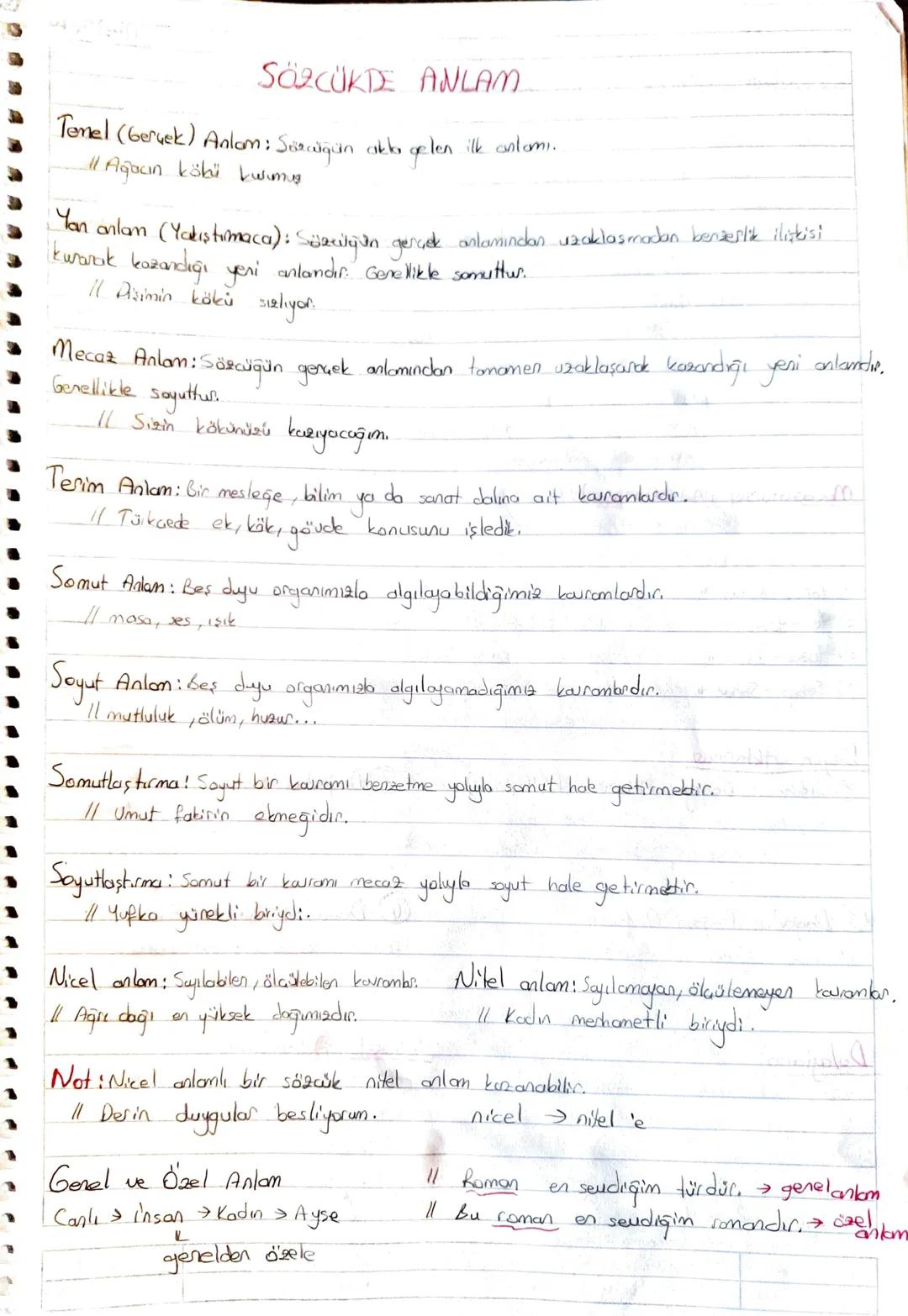 SÖZCÜKTE ANLAM
Tenel (Gerçek) Anlam: Sexigan akla gelen ilk anlami.
11 Ağacın köhi kwimug
Yan anlam (Yakushimaca) : Salacity in gerçek anlam