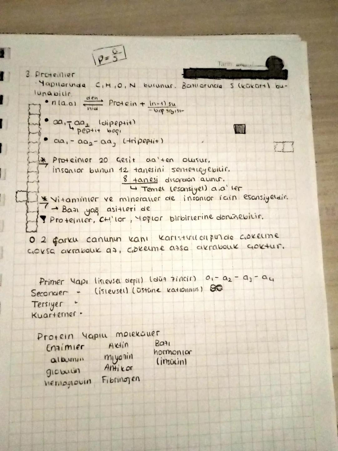 3. Proteinier
Yapılarında
lunabilir. den
• n(a.a)
hid
Tarih www
bulunur. Ballarinda S (kakam) bu-
Protein + In-1) su
aaaa, dipepti+)
peptit 