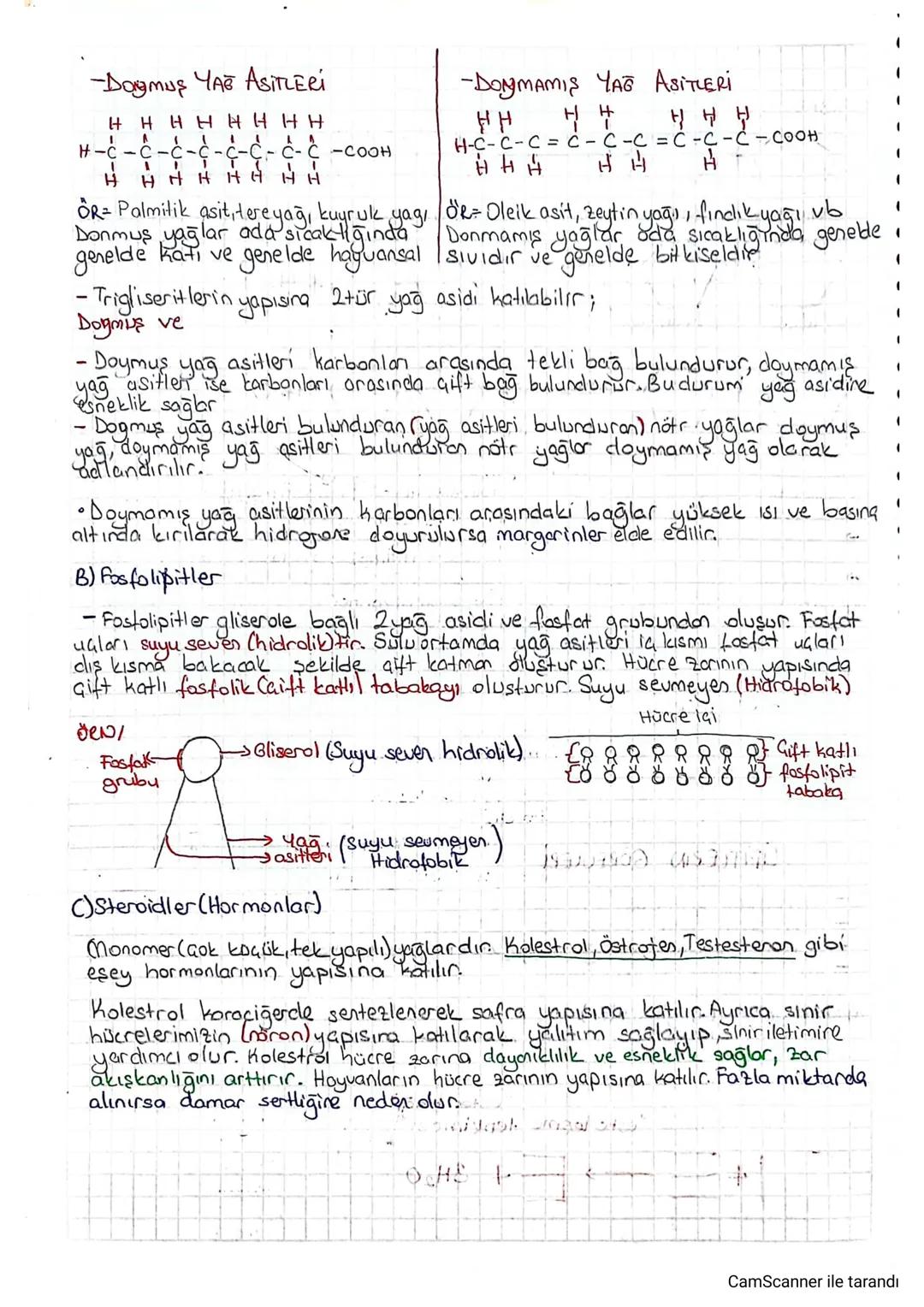 -Dogmus YAB ASITLERÍ
H H H H H H H H
H-C-C
H
A
C-C-COOH
H H H H H H H
OR= Palmitik asit, tereyağ, kuyruk yag,
Donmuş yağlar ada sıcaklığında