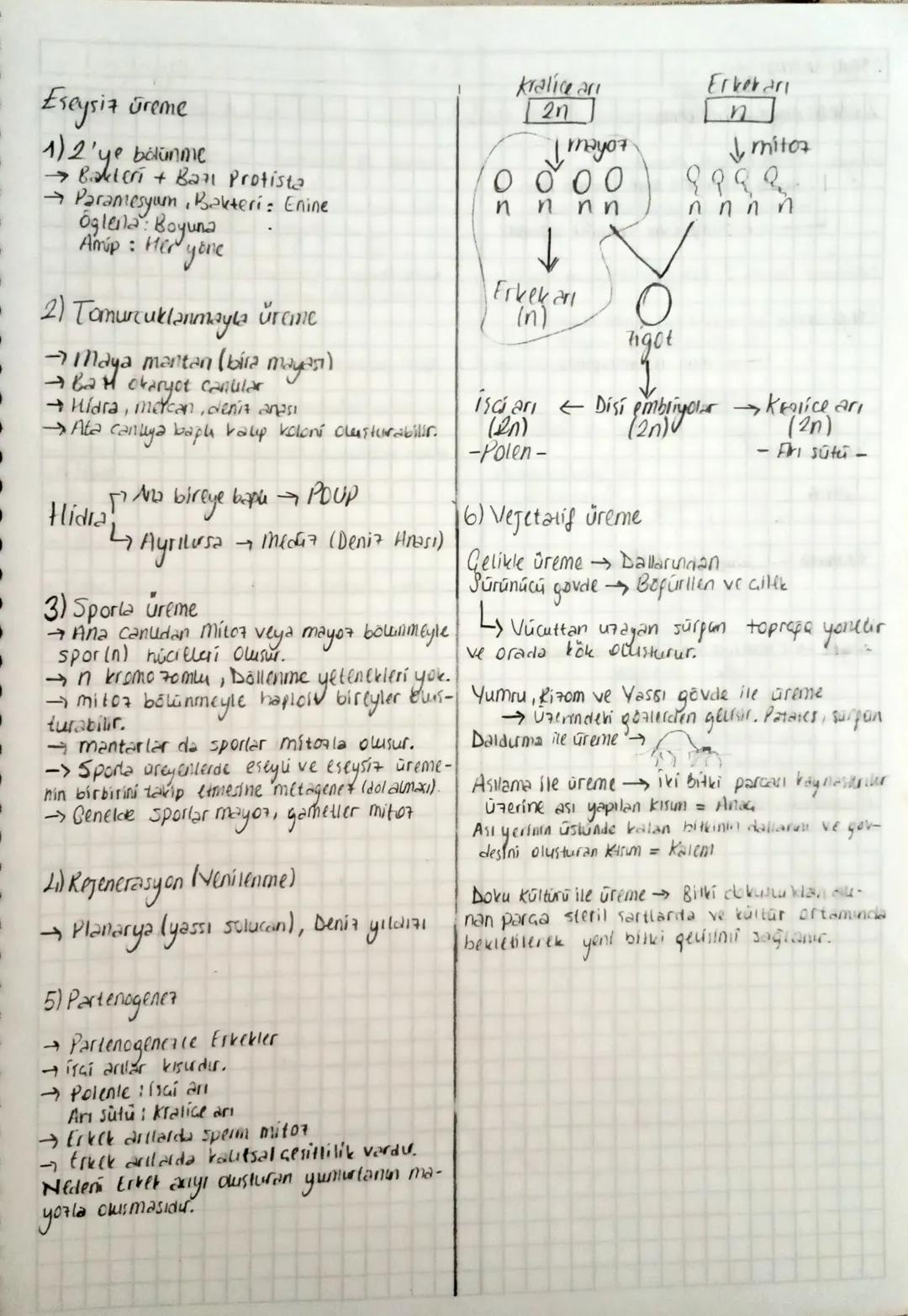 Mitoz Bölünme
Tek hücrelilerde üreme
¬
Got hocreulerde büyüme, gelisim, onarım
Benetik bilgi tasıyan DNA Genam
Benmede
Basuda
Interfaz
Kroma