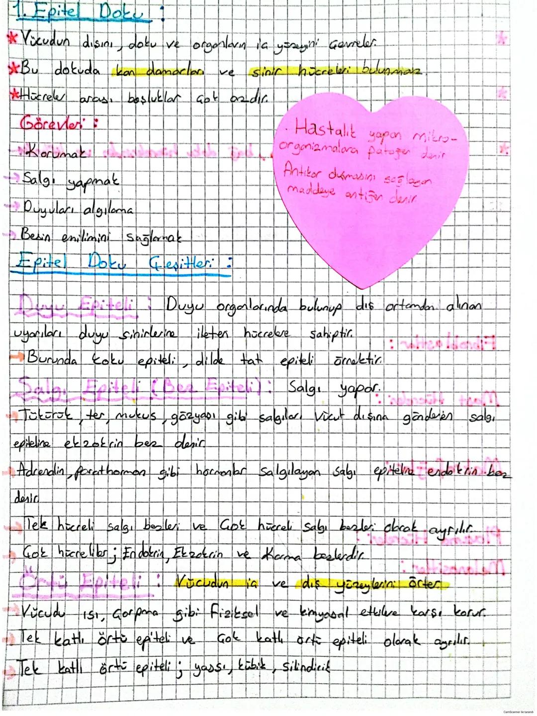 DUYU ORGANLARI
Duyu organlarında çeşitli uyonlari almak için özelleşmiş duyu reseptörler:
(almad) bulunur. Reseptorler duyu epiteli hücreler