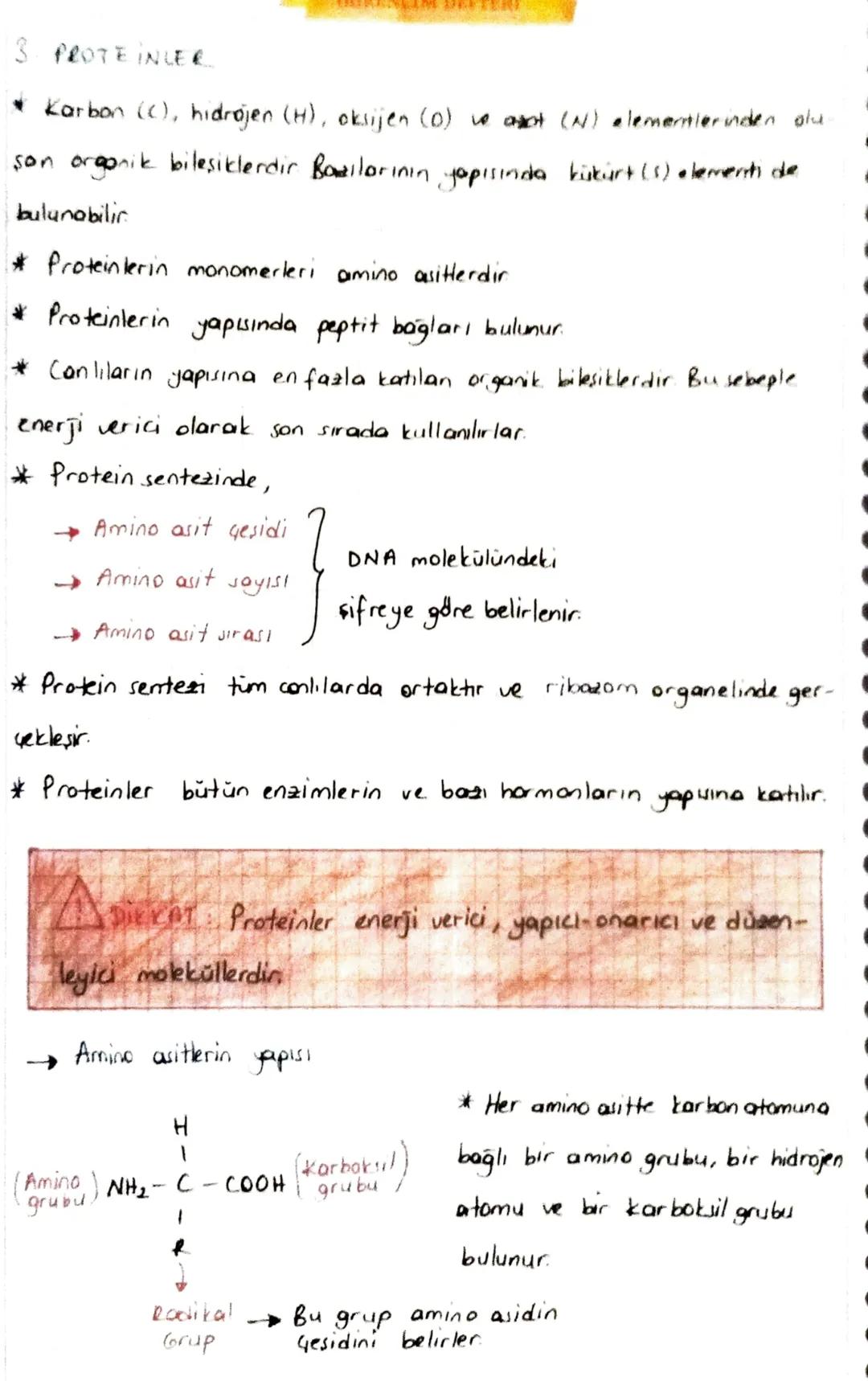 3. PROTEINLER
* Karbon (C), hidrojen (H), oksijen (0) ve anot (N) elementlerinden olu
son organik bileşiklerdir. Bazılarının yapısında kükür