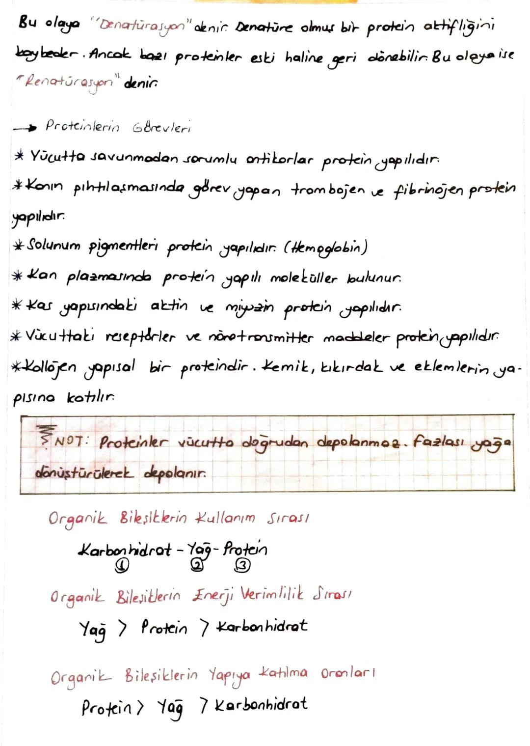 3. PROTEINLER
* Karbon (C), hidrojen (H), oksijen (0) ve anot (N) elementlerinden olu
son organik bileşiklerdir. Bazılarının yapısında kükür