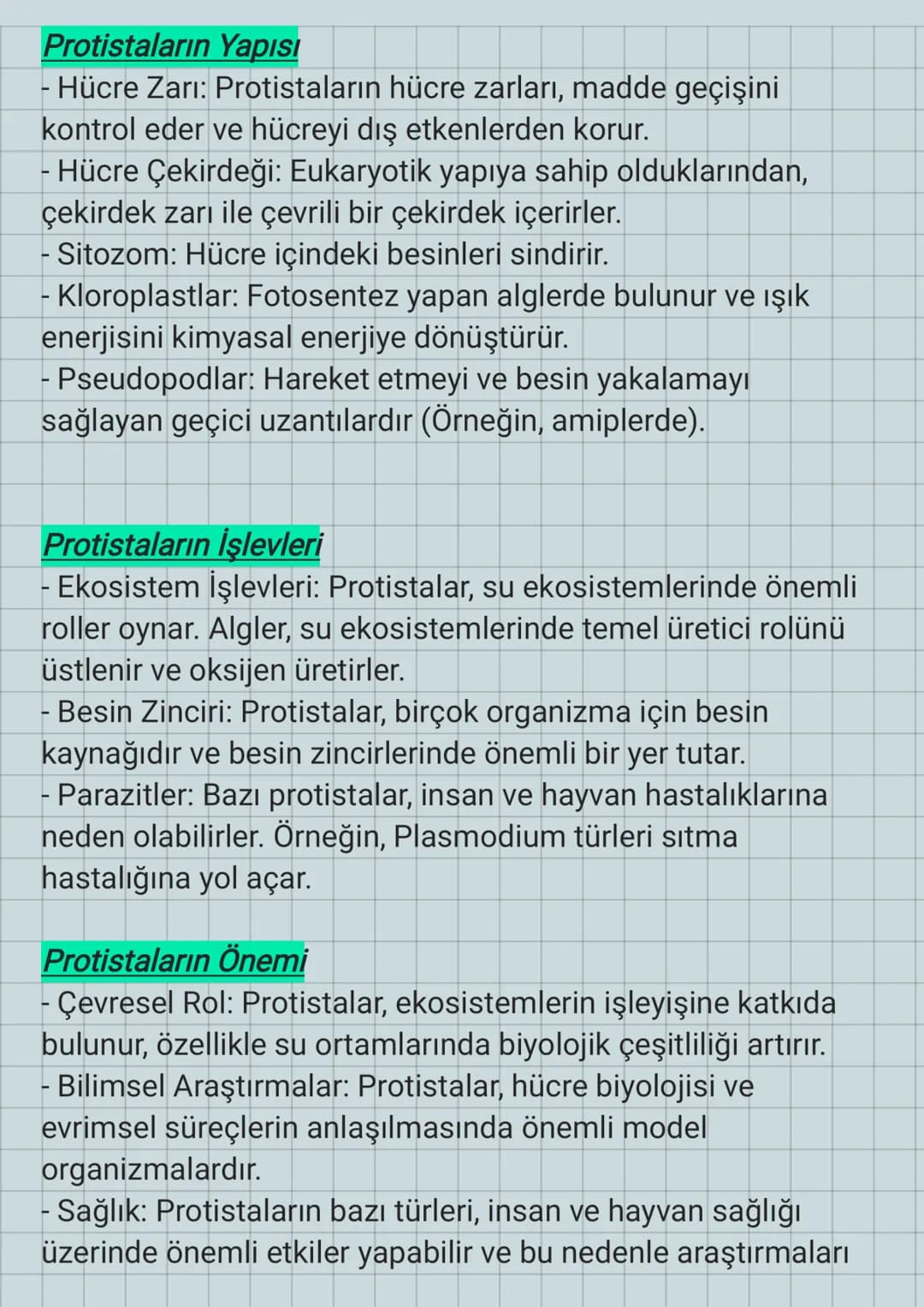 Protista
Granüllü
endoplazmik
retikulum
Protistalar
Ribozom
Kloroplast
(Ototrof
olanlarında
bulunur.)
Hücre zari
Sitoplazma
Lizozom
HH
Çekir