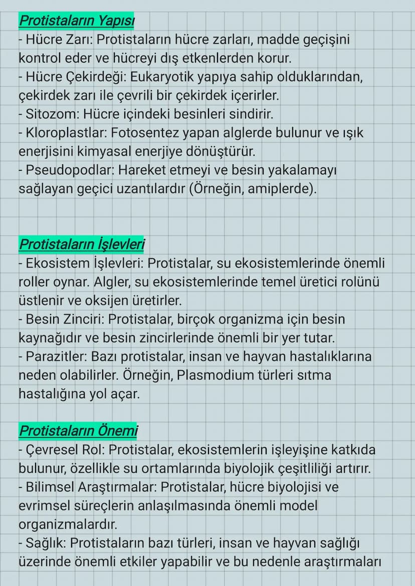 Protista
Granüllü
endoplazmik
retikulum
Protistalar
Ribozom
Kloroplast
(Ototrof
olanlarında
bulunur.)
Hücre zari
Sitoplazma
Lizozom
HH
Çekir