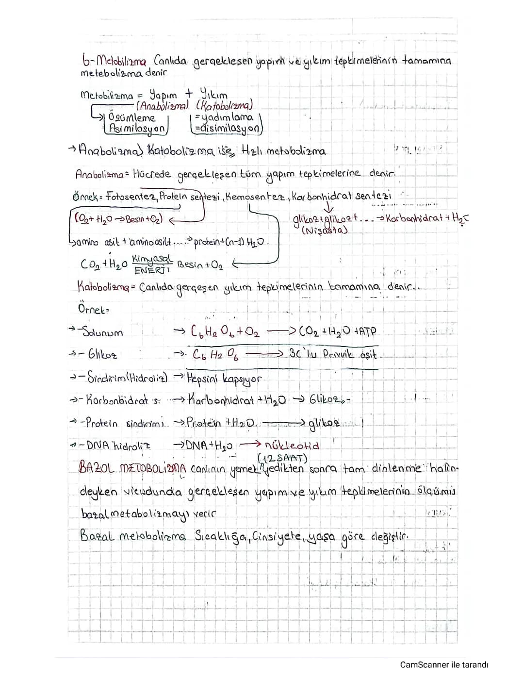 Metabolizma Nedir? Anabolizma ve Katabolizma Örnekleri