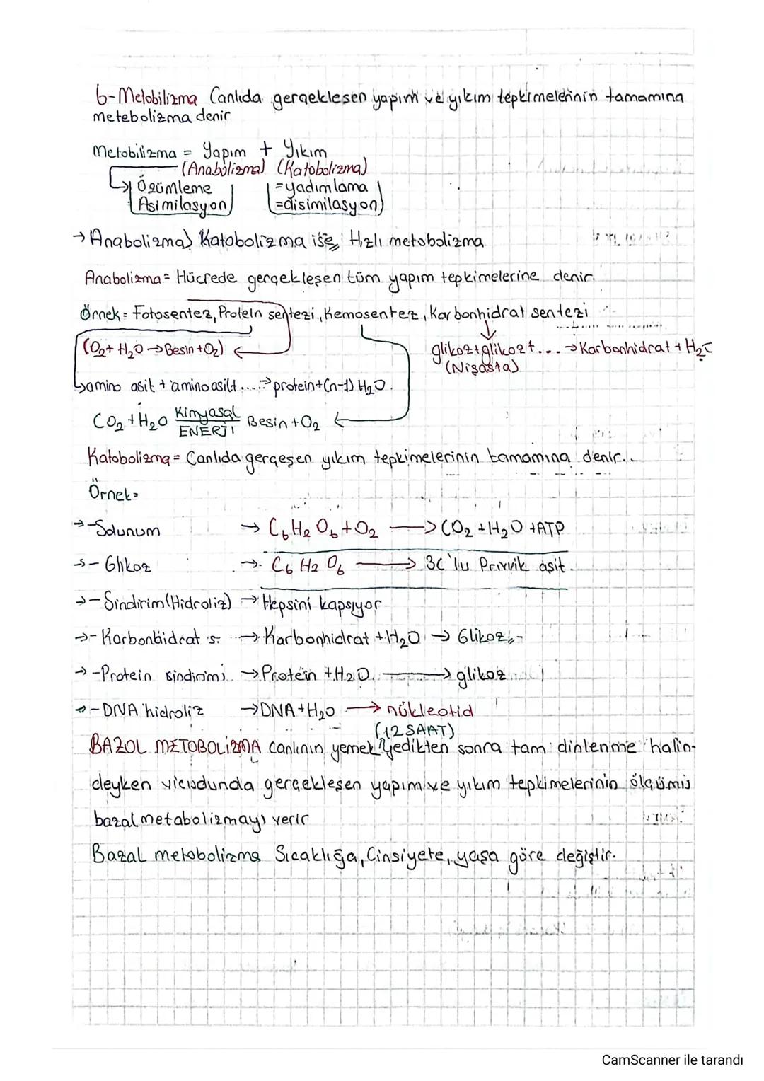 6-Metobilizma Canlida gerçekleşen yapın veyıkım tepkimelerinin tamamına
metebolizma denir
Metobilizma = Yapım + Yıkım.
•(Anabolizma) (Katobo