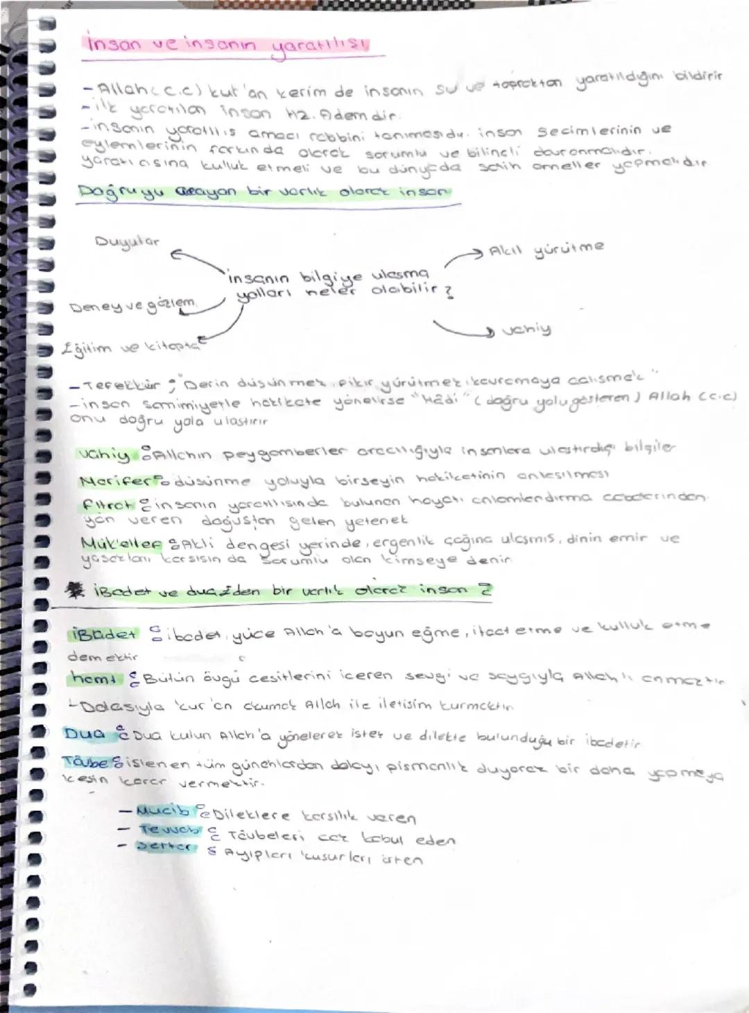 9 sınıf 1 ünite özet