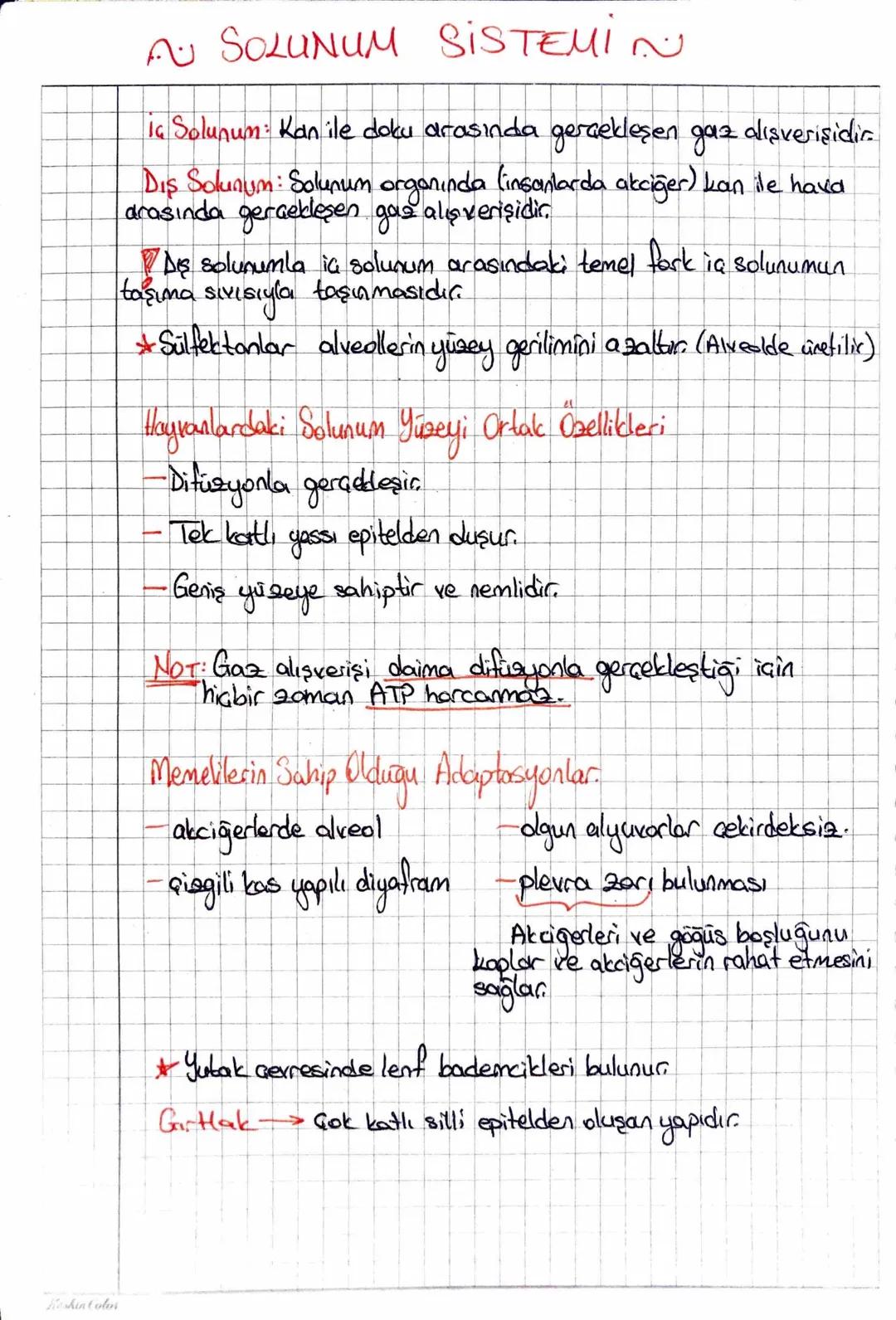 Keskin Color
AU SOLUNUM SISTEMIN
iç Solunum: Kan ile doku arasında gerçekleşen gaz dışverişidir.
Dış Solunum: Solunum organında (insanlarda 