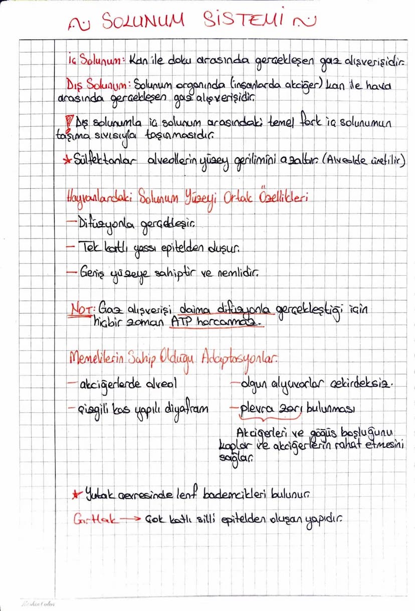 Keskin Color
AU SOLUNUM SISTEMIN
iç Solunum: Kan ile doku arasında gerçekleşen gaz dışverişidir.
Dış Solunum: Solunum organında (insanlarda 