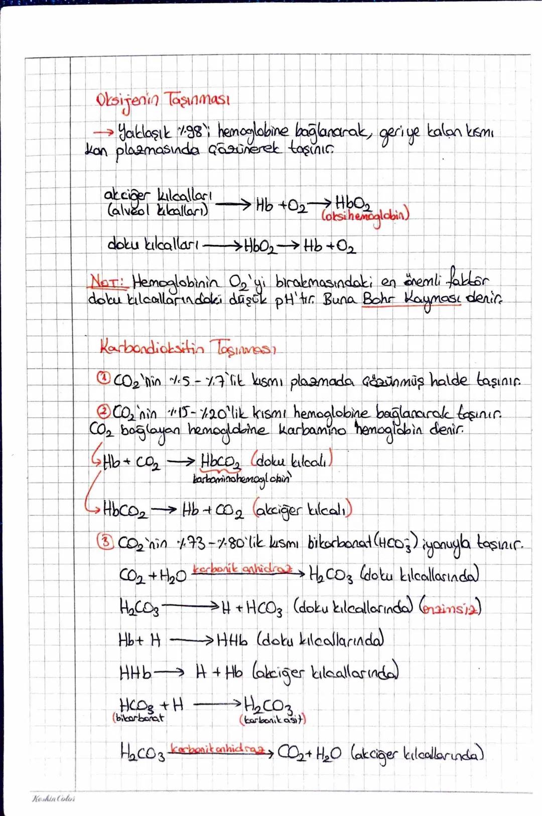 Keskin Color
AU SOLUNUM SISTEMIN
iç Solunum: Kan ile doku arasında gerçekleşen gaz dışverişidir.
Dış Solunum: Solunum organında (insanlarda 