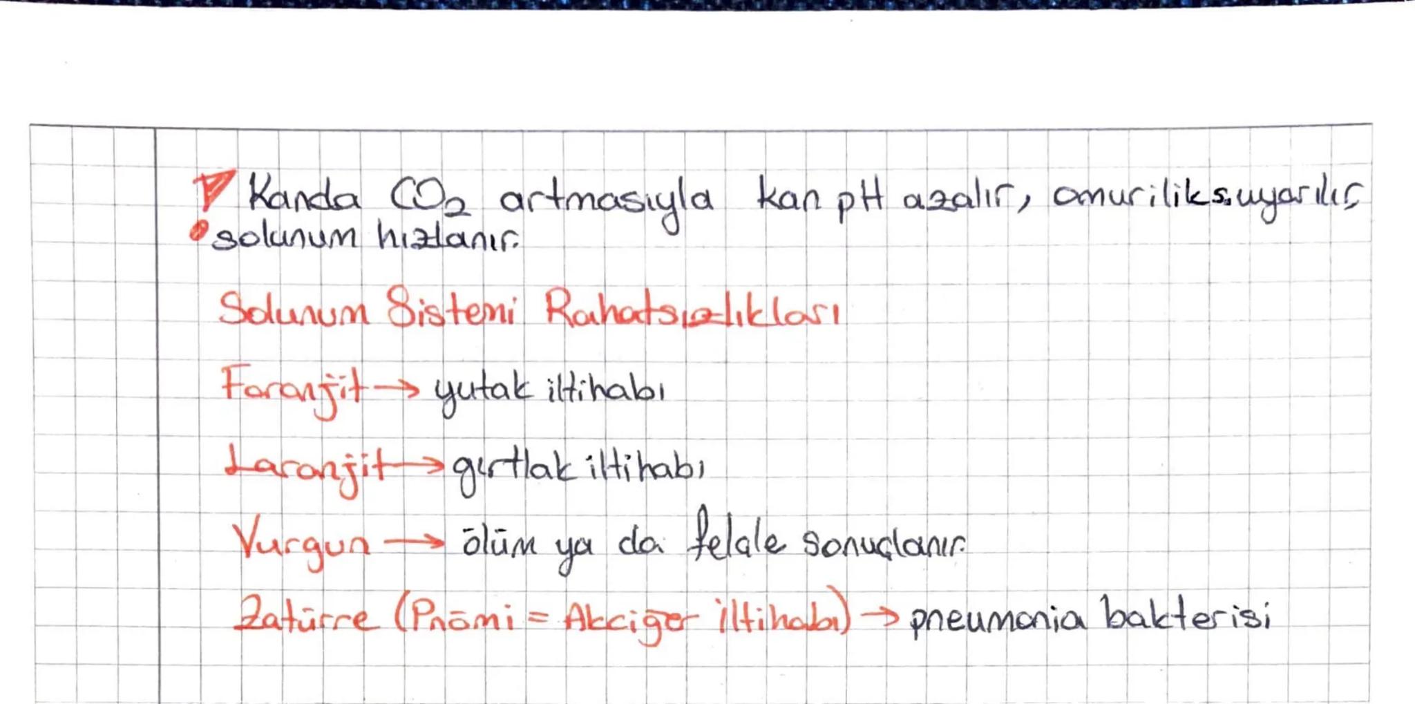 Keskin Color
AU SOLUNUM SISTEMIN
iç Solunum: Kan ile doku arasında gerçekleşen gaz dışverişidir.
Dış Solunum: Solunum organında (insanlarda 