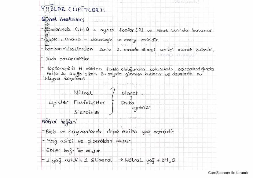 BLAR CLIPITLER):
Genel özellikler;
-apılarında C, H, O & ayrıca fosfor (P) ve Azot (N)'da bulunur.
apici, Onarıcı
巡
karbonhidratlardan
düzen