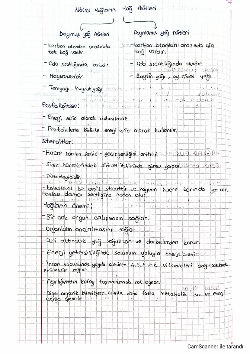 BLAR CLIPITLER):
Genel özellikler;
-apılarında C, H, O & ayrıca fosfor (P) ve Azot (N)'da bulunur.
apici, Onarıcı
巡
karbonhidratlardan
düzen