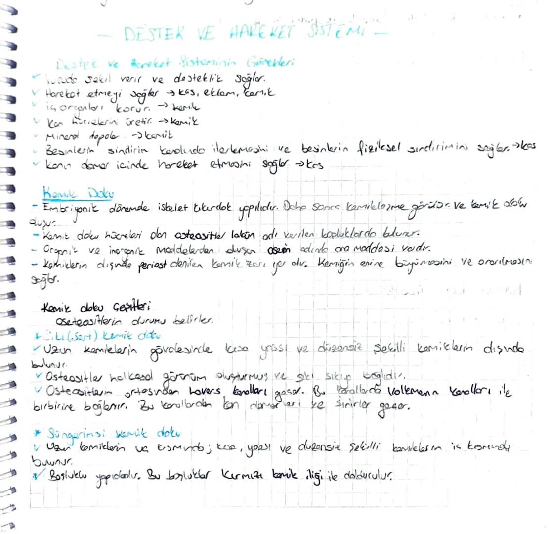 DESTEK VE HAREKET ISTEMI -
Destek ve Hareket Sisteminin Görevleri
Tucudo sekil verir ve desteklik sağlar.
✓ Hareket etmeyi sağler → kas, ekl