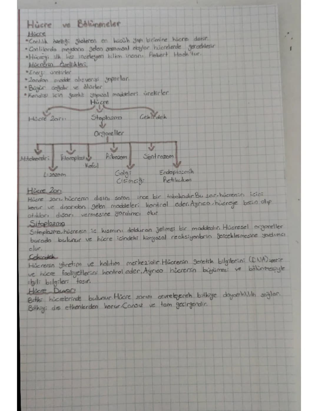 Hücre ve Bölünmeler