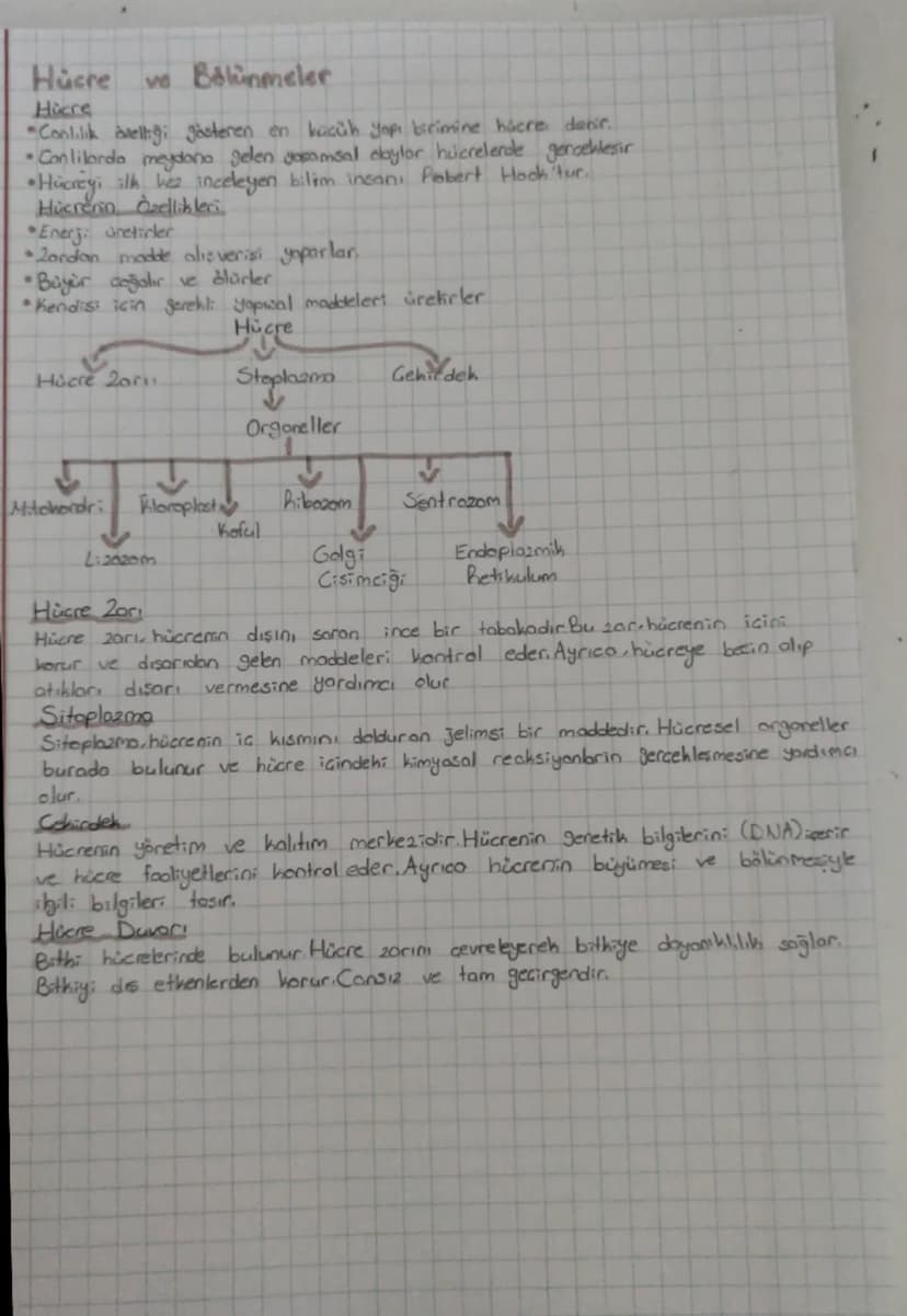 Hücre Bölünmeler
Hicre
va
"Conlilik avelliği gösteren en küçük yapı birimine hücre denir.
•Conlilanda meydana gelen gammsal abylor hücrelerd