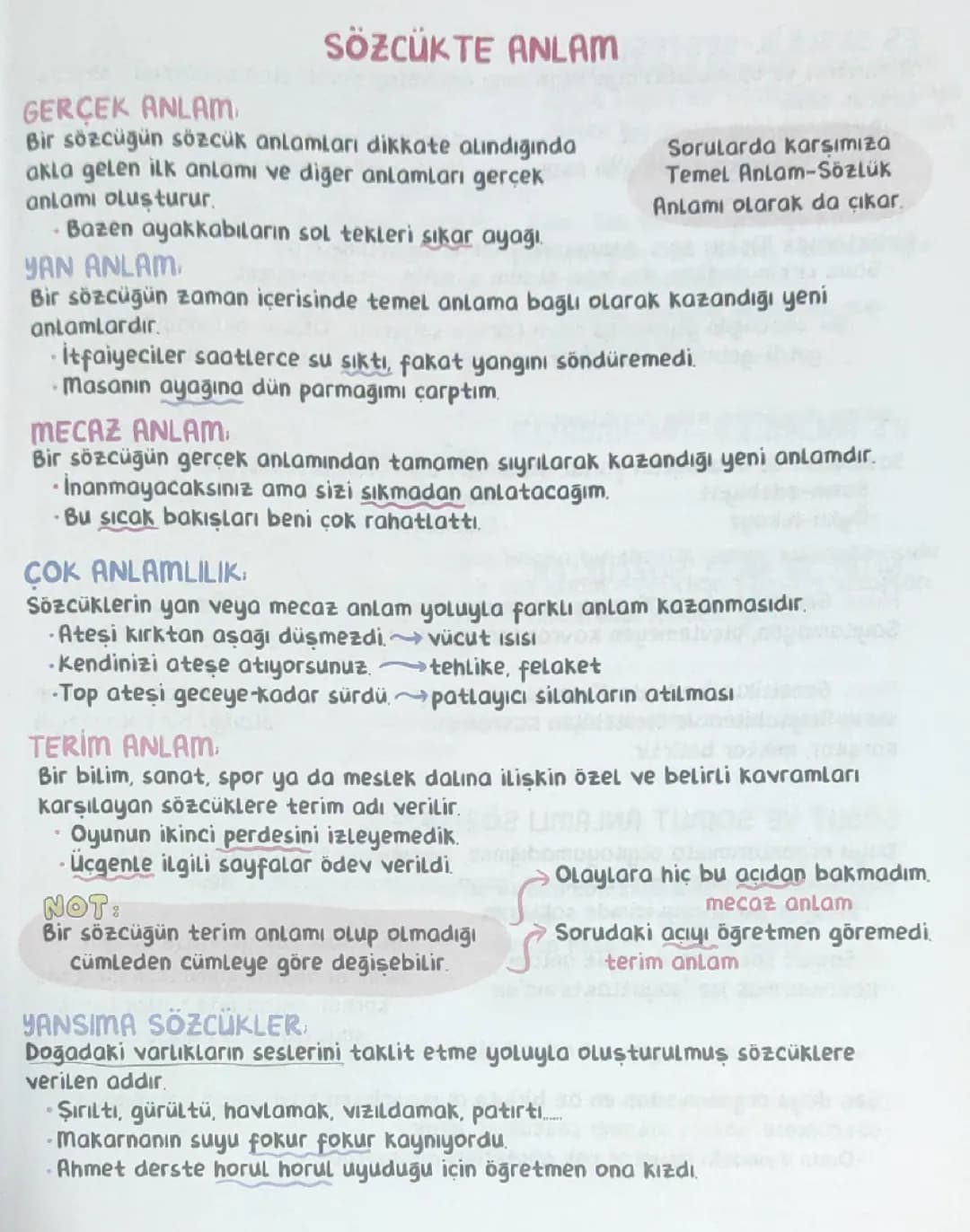 TYT TÜRKÇE 