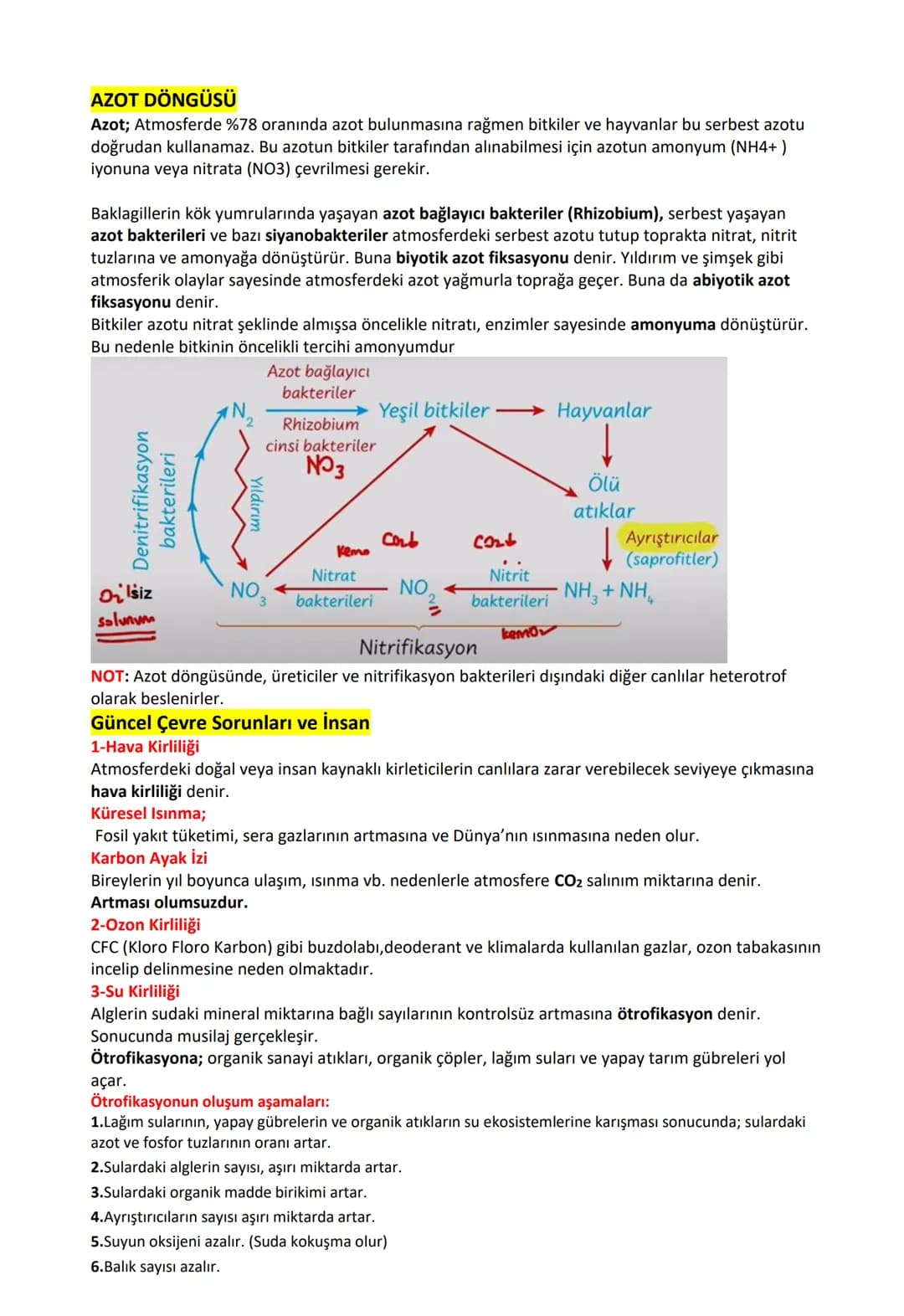 B.1. Karbon döngüsü:
CO₂ (Atmosferde)
Yanardag
Solunum
Fotosentez
Kemosentez
Üretici Besin Tüketici Ayristinci
Fosilleşme
Petrol
Kömür
Doğal