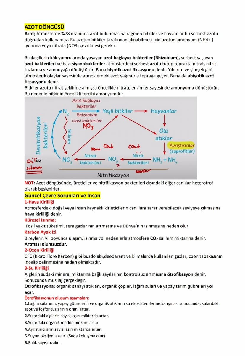 B.1. Karbon döngüsü:
CO₂ (Atmosferde)
Yanardag
Solunum
Fotosentez
Kemosentez
Üretici Besin Tüketici Ayristinci
Fosilleşme
Petrol
Kömür
Doğal