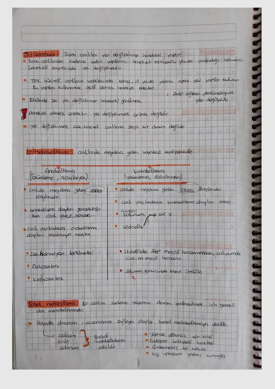 CANLILARIN ORTAK SHELLIKLER
vadiklan canlı darak niteleyebilmek için, Hücresel yap,
gibi özelliklere sahip olması gerekin
1.) Hücresel yapı: