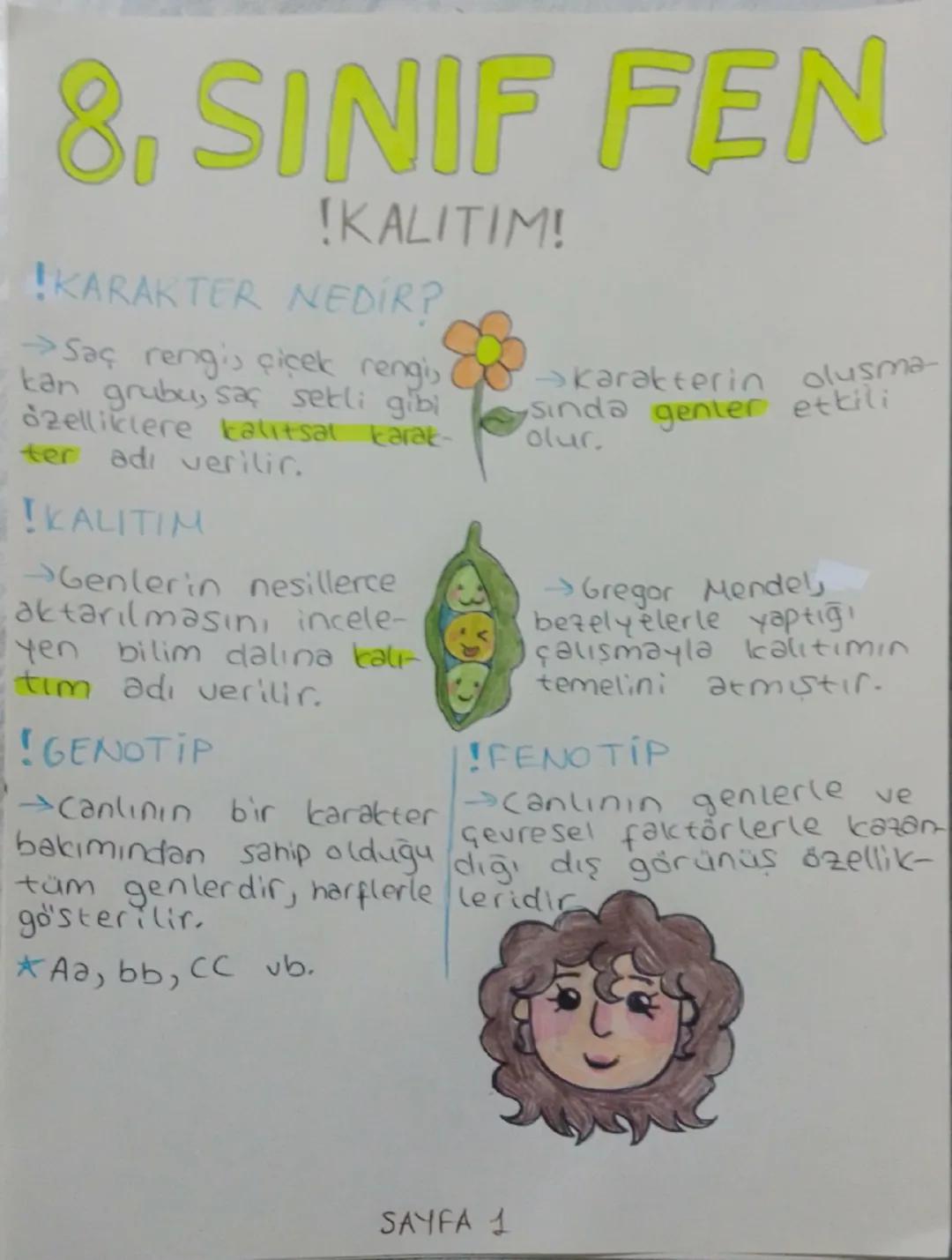 # 8. SINIF FEN

!KALITIM!

KARAKTER NEDİR?

→Saç rengis çiçek rengi,
kan grubu, saç setli gibi
özelliklere kalitsal karat-
ter adı verilir.
