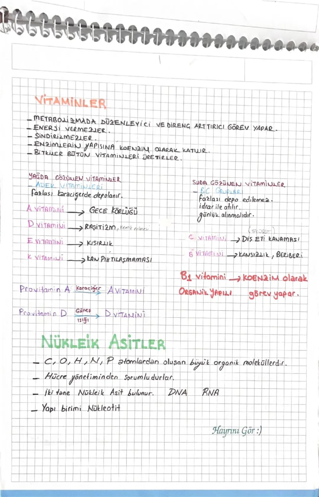 Vitaminler biyoloji tyt konusu