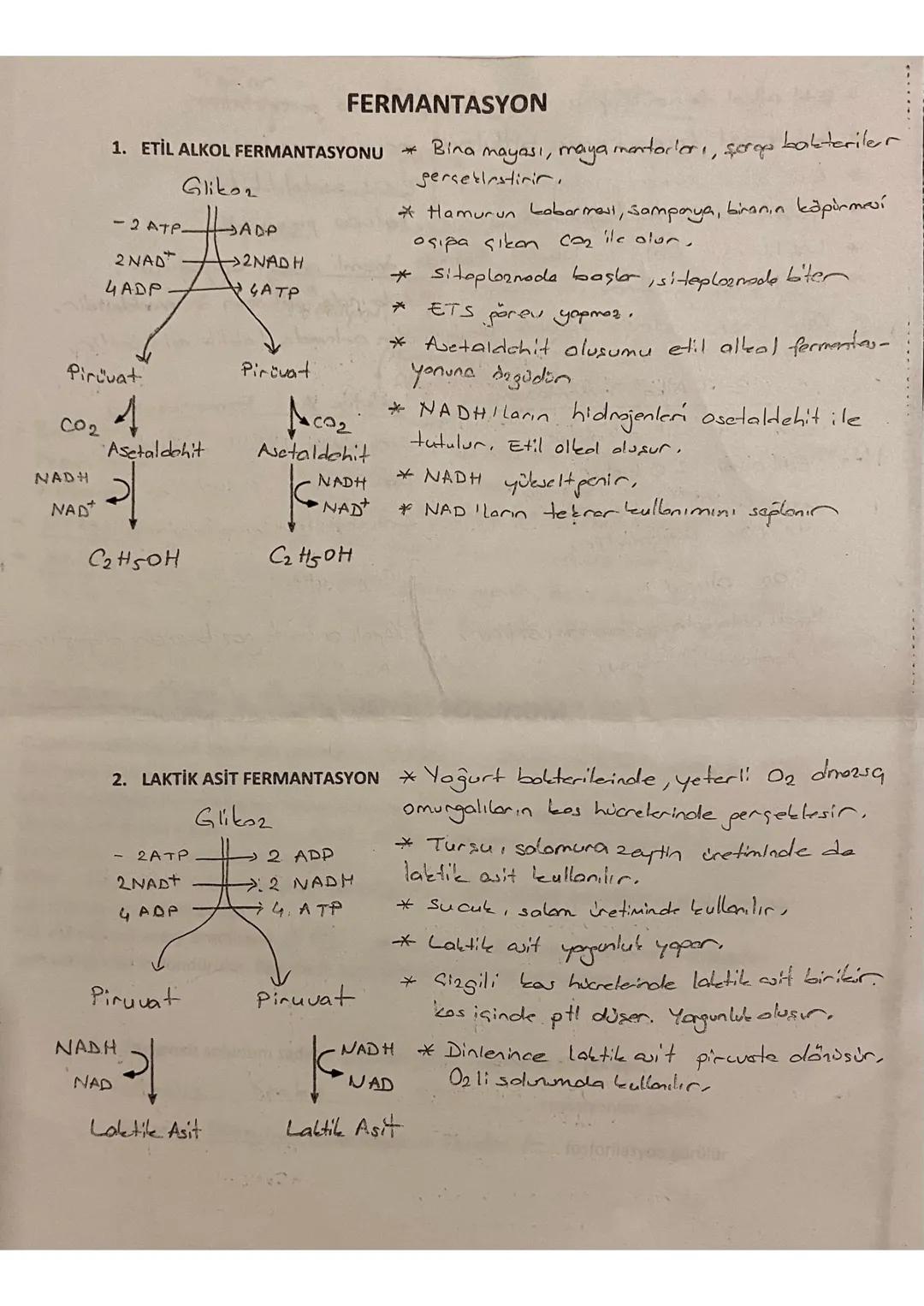 FERMANTASYON

1. ETİL ALKOL FERMANTASYONU * Bina mayası, maya mantarları, şerop bakteriler

- 2 ATP.

2 NAD

4ADP

Pirüvat

CO2

NADH

NAD

