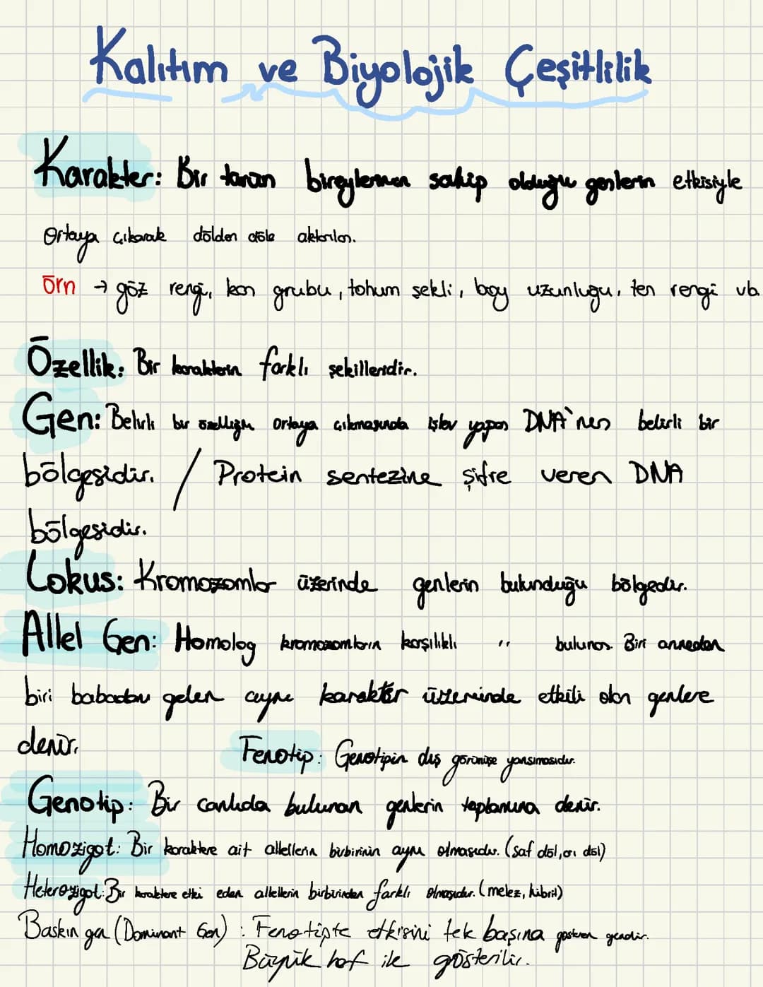 10. Sınıf Biyoloji Ders Notları PDF ve Genetik Çeşitlilik Özetleri