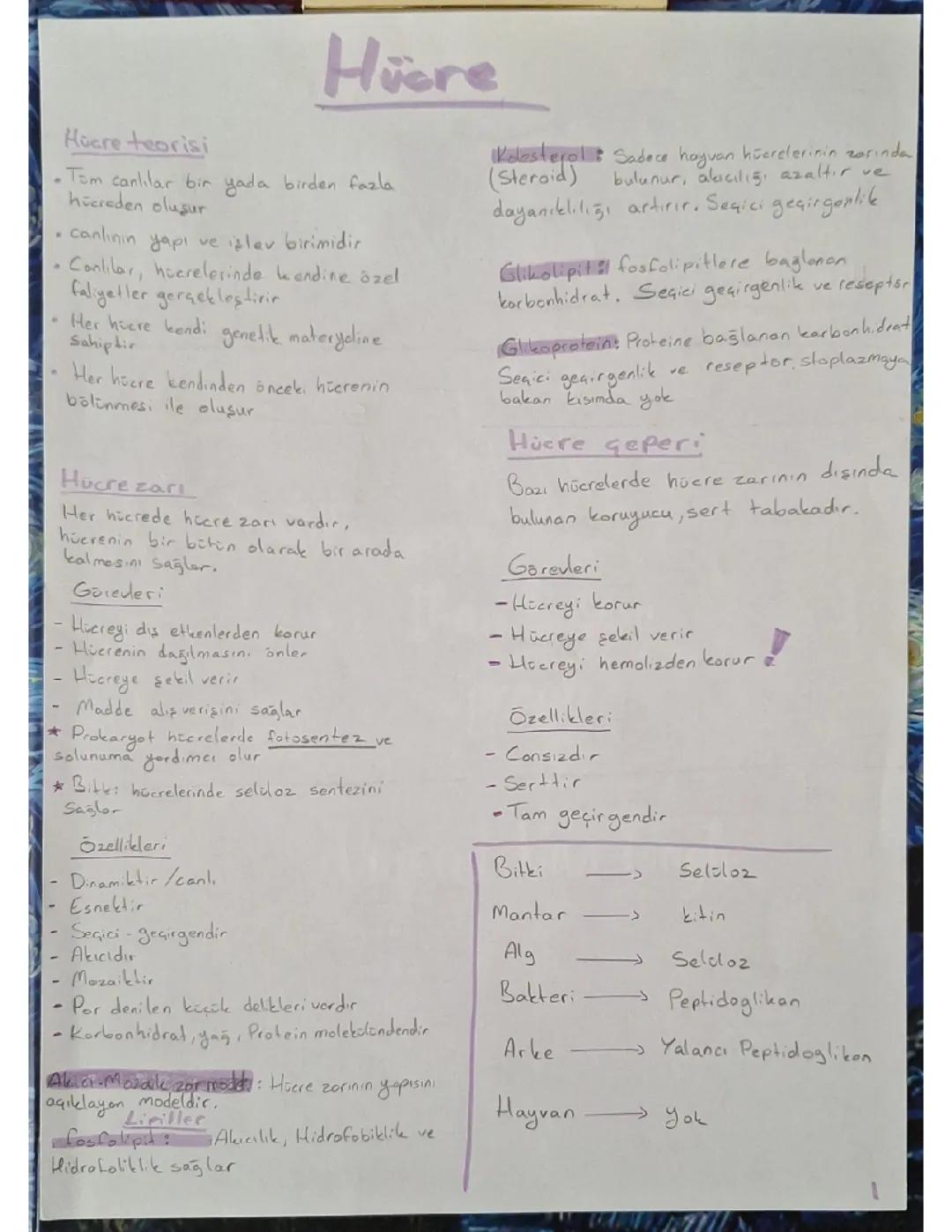 Tyt Biyoloji-Hücre-