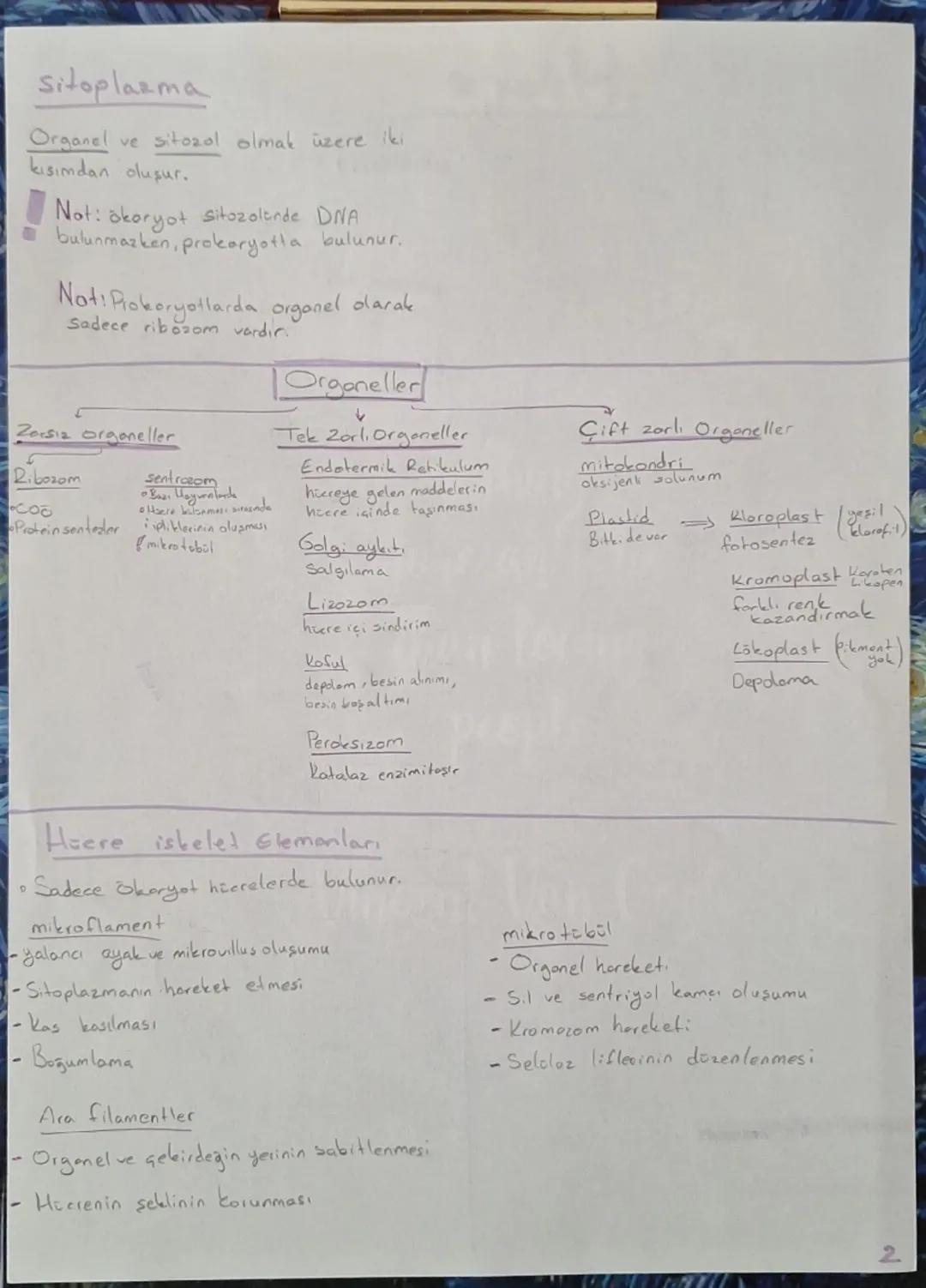 •
Hoere teorisi
Here
•Tom canlilar bir yada birden fazla
hicreden oluşur
canlının yapı ve işlev birimidir
Conlilar, hoerelerinde kendine öze
