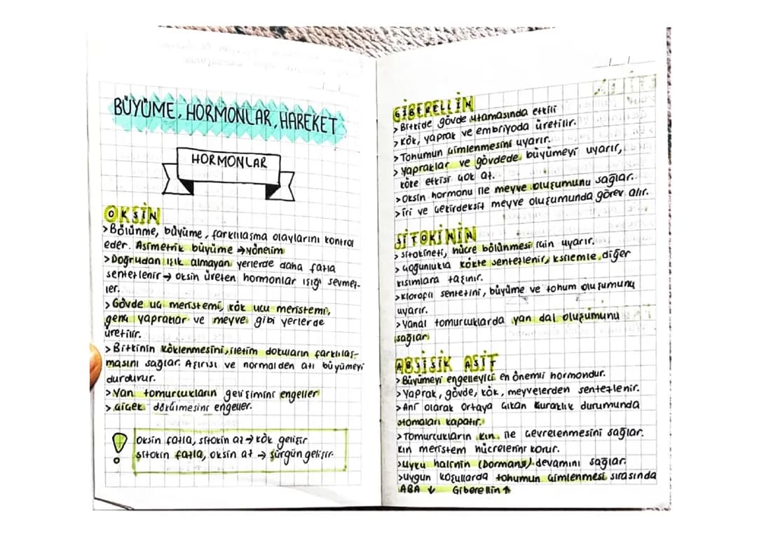 Bitkilerde Giberellin ve Oksin Hormonları - PDF Notlar